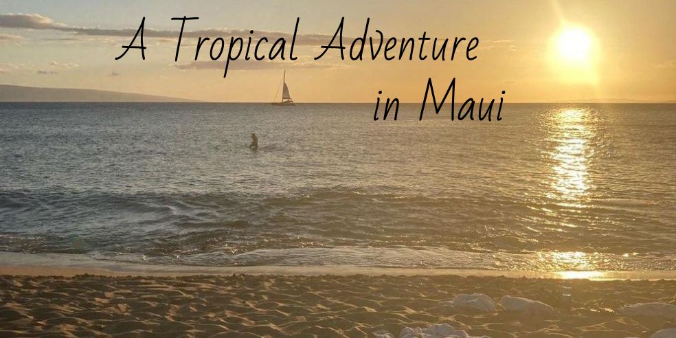 A Tropical Adventure in Maui, Maui, Maui zipline, Maui coast,