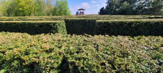 Keukenhof Maze