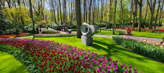 Netherland's Tulipfest