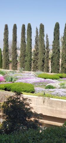 Generalife Gardens, Alhambra, Granada Spain