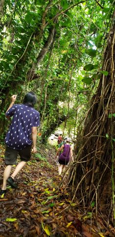 Hiking Kalalau Trail, Kauai, Hawaii's Garden Isle