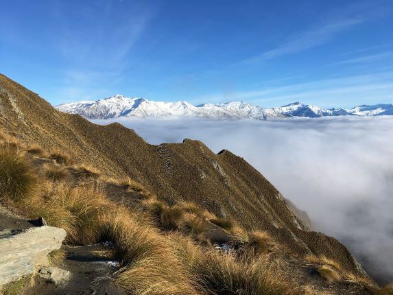 Queensland, New Zealand