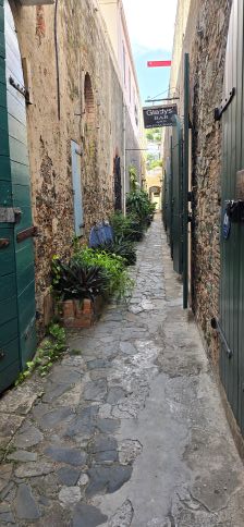 The alley to Glady's Bar in Charolette Amalie