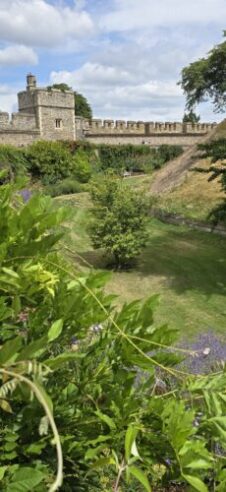 Windsor Castle - The Moat Garden