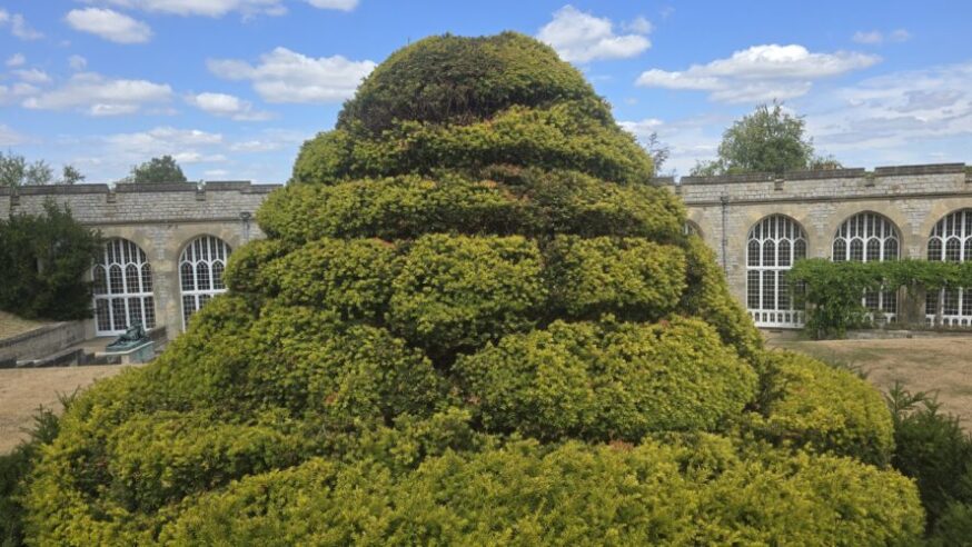 Windsor Castle -Venus Garden