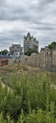 A close up of the moat with Tower Bridge in the background.