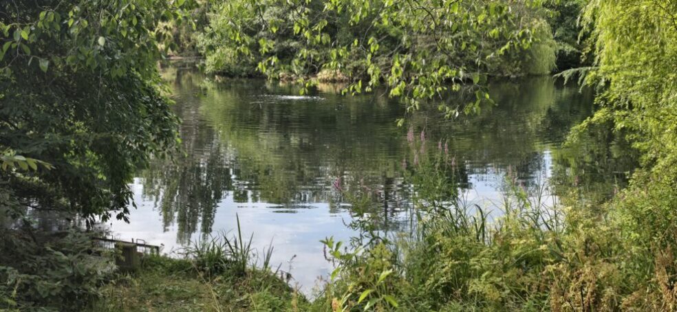 The pond in the Buckingham Palace Gardens