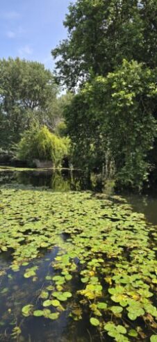 The Avon River