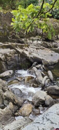 Afon Llugwy — River Llugwy