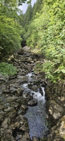Afon Llugwy — River Llugwy
