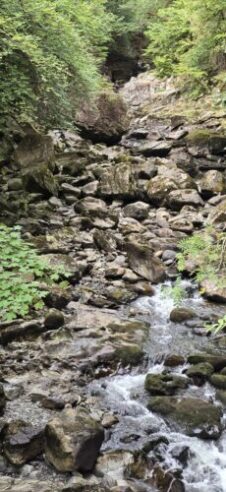 Afon Llugwy — River Llugwy