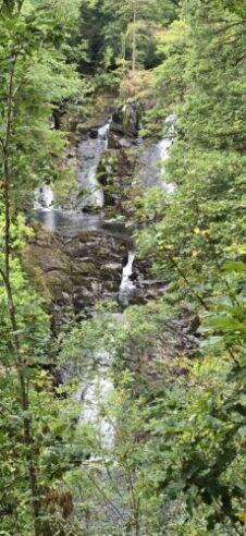 Close up of Swallow Falls