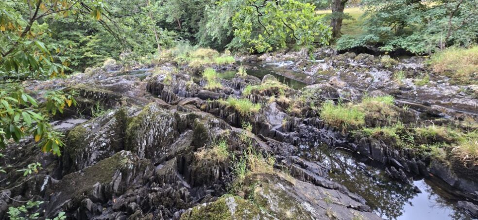 Swallow Falls Trail