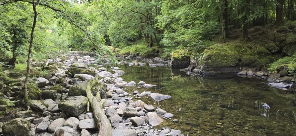 Afon Llugwy — River Llugwy