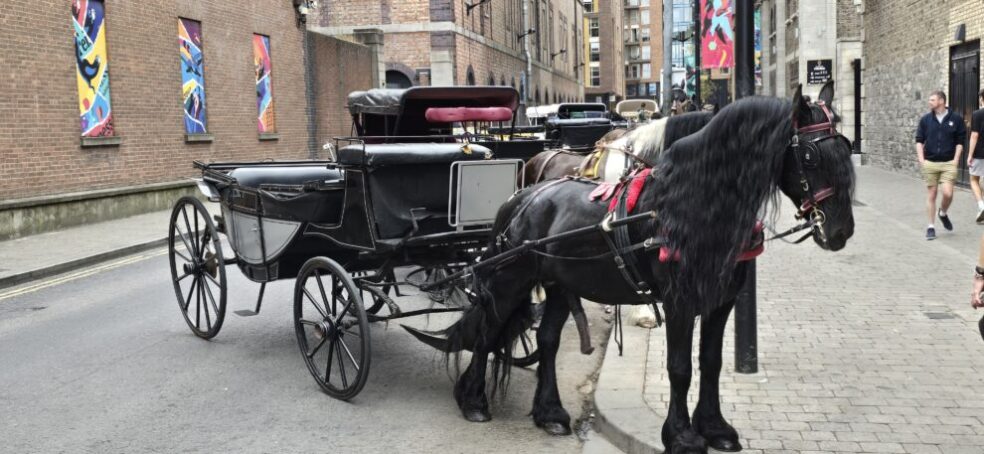 Carriage Rides available at the Guinness Storehouse